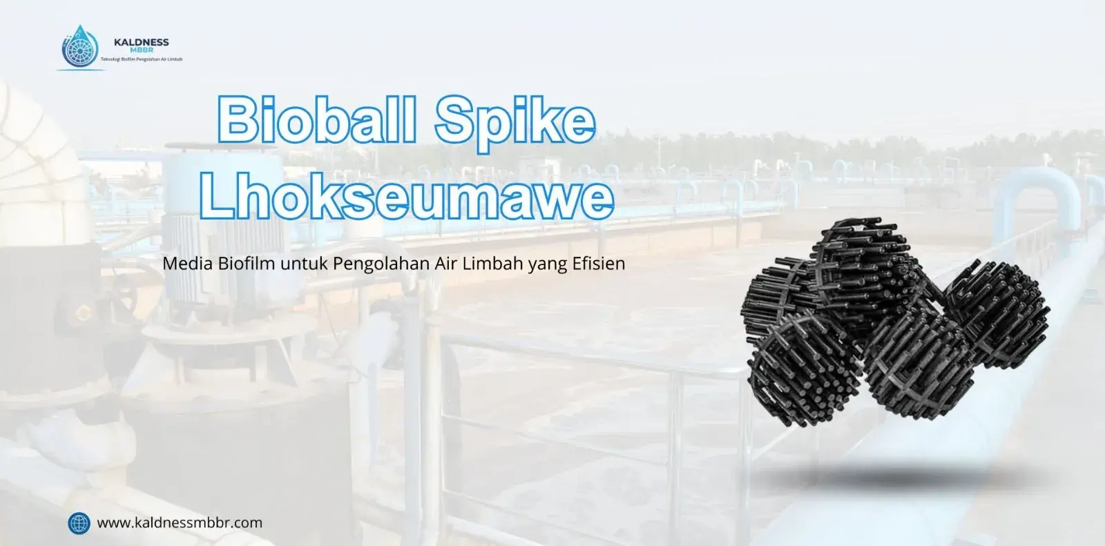 Bioball Spike Lhokseumawe